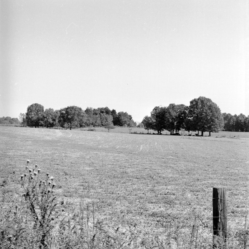 110_to develop new pastures,... (1951).jpg